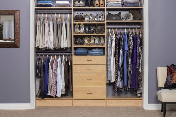 Modern reach-in closet system for guest bedroom storage